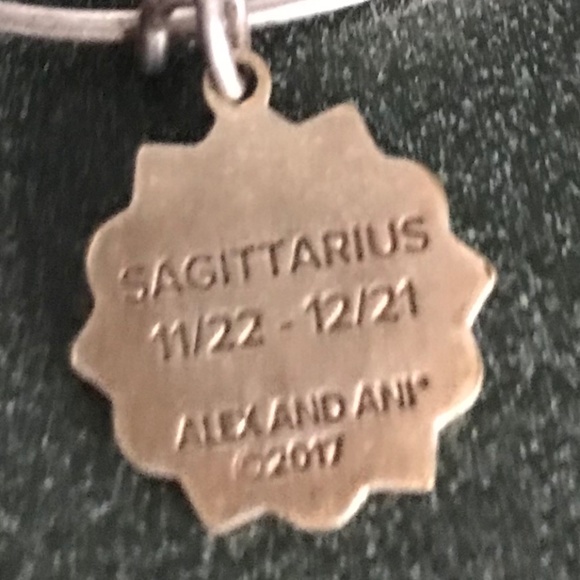 Alex and Ani Expandable Wire Bracelet Sagittarius 2017 - Picture 16 of 16
